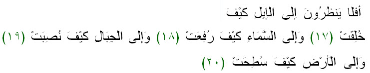 Al Ghasiyah 17-20